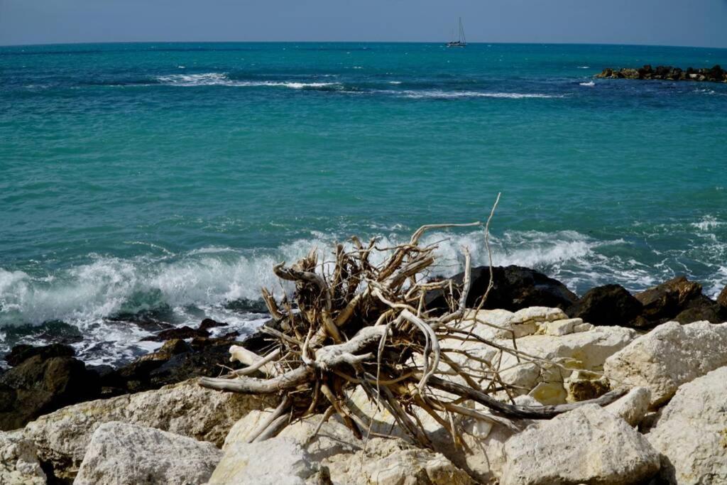 Il Mare In Un Bicchiere Lejlighed Sciacca Eksteriør billede